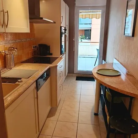 Large With A 35 M Terrace Lejlighed *
